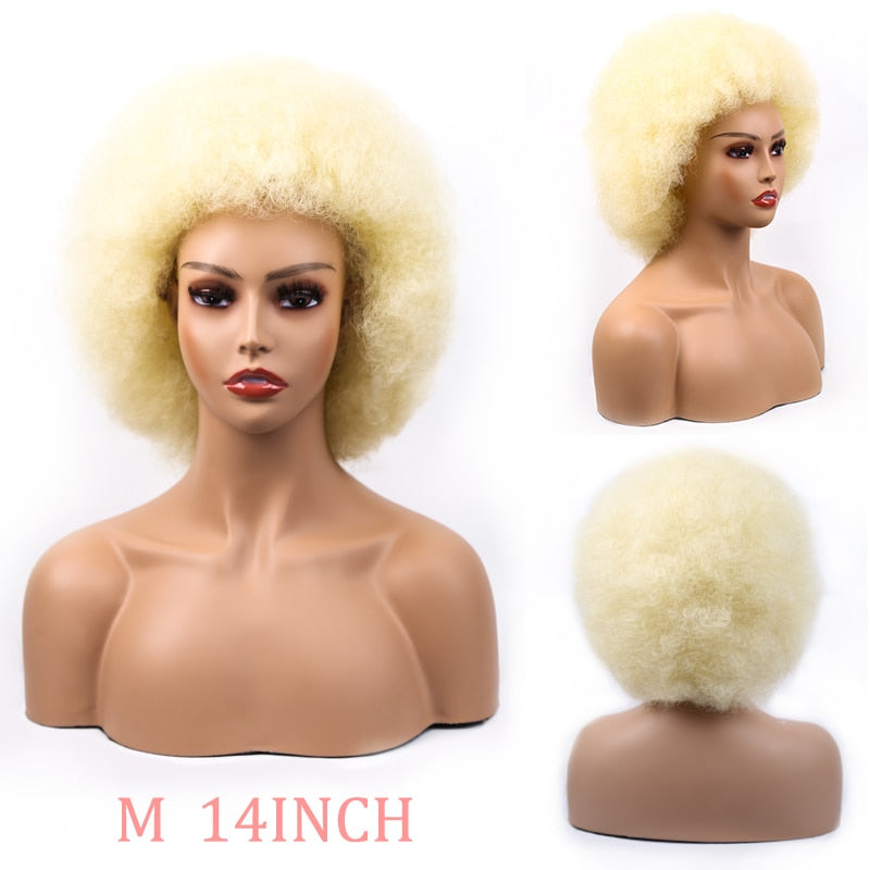 Synthetic Afro Wig Short Fluffy Hair Wigs for Black Women Kinky Curly Hair for Party Dance Cosplay Wigs with Bangs