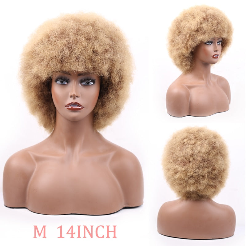 Synthetic Afro Wig Short Fluffy Hair Wigs for Black Women Kinky Curly Hair for Party Dance Cosplay Wigs with Bangs