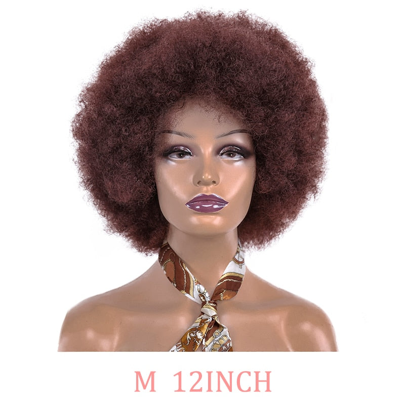 Synthetic Afro Wig Short Fluffy Hair Wigs for Black Women Kinky Curly Hair for Party Dance Cosplay Wigs with Bangs